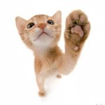 3367389553@qq.com的头像-万课资料