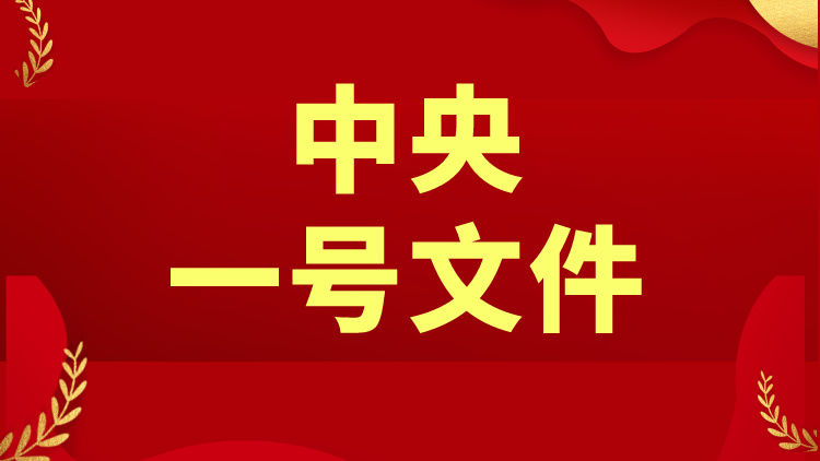 2026年中央一号文件（全文+划重点+52题）-万课资料